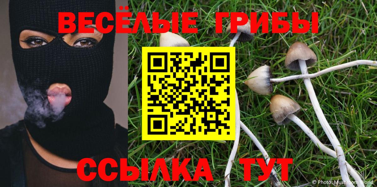 Москва  Псилоцибиновые грибы Psilocybe  где продают   Вход с VPN  Псилоцибиновые грибы прущие грибы 