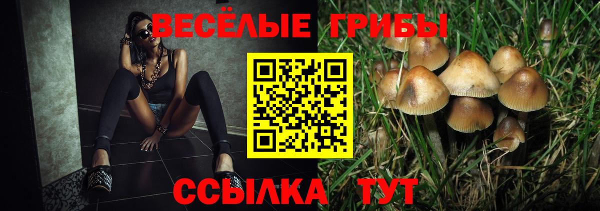 Псилоцибиновые грибы Magic Shrooms Москва